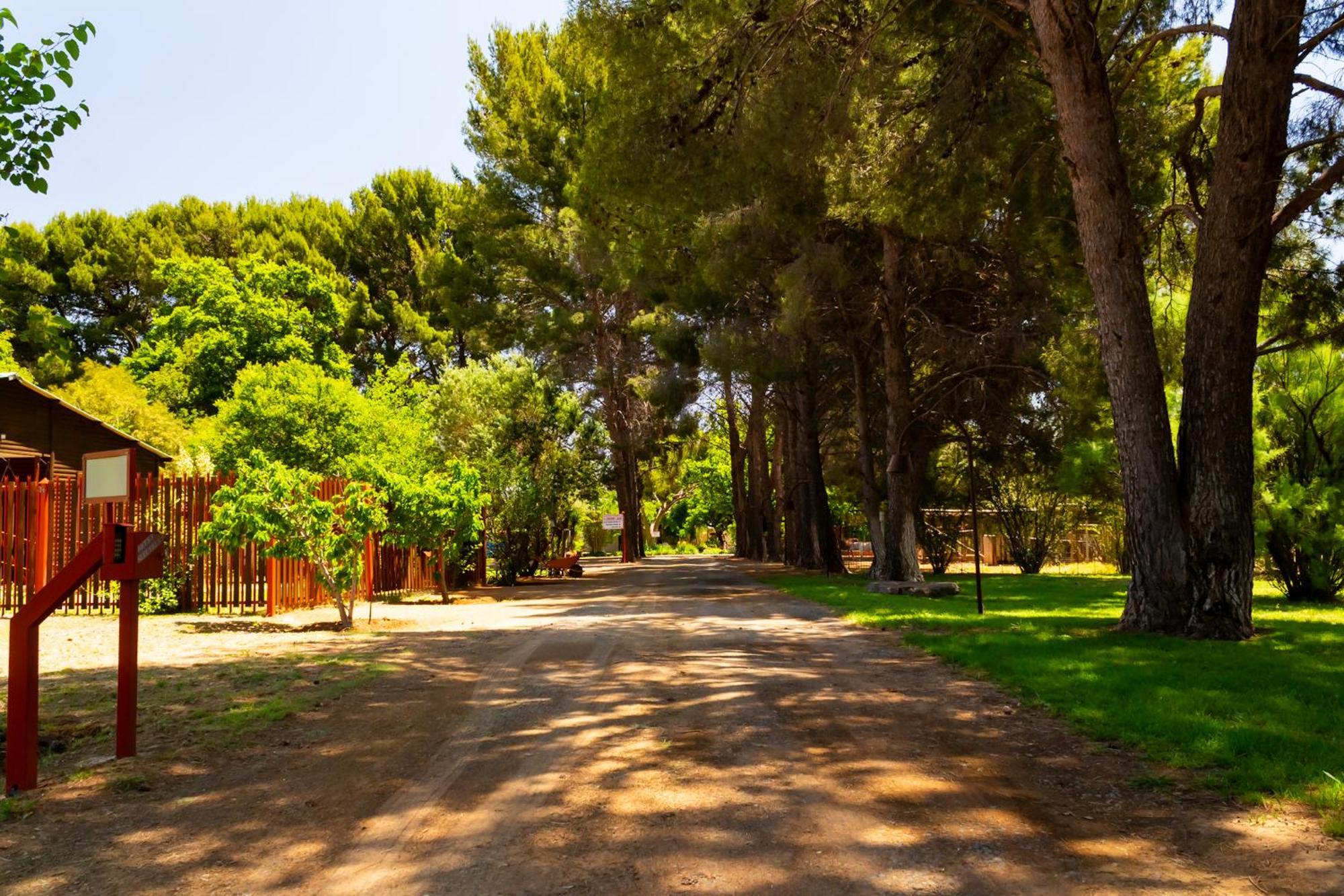 A Cherry Lane Self Catering And B&B بلومفونتين المظهر الخارجي الصورة